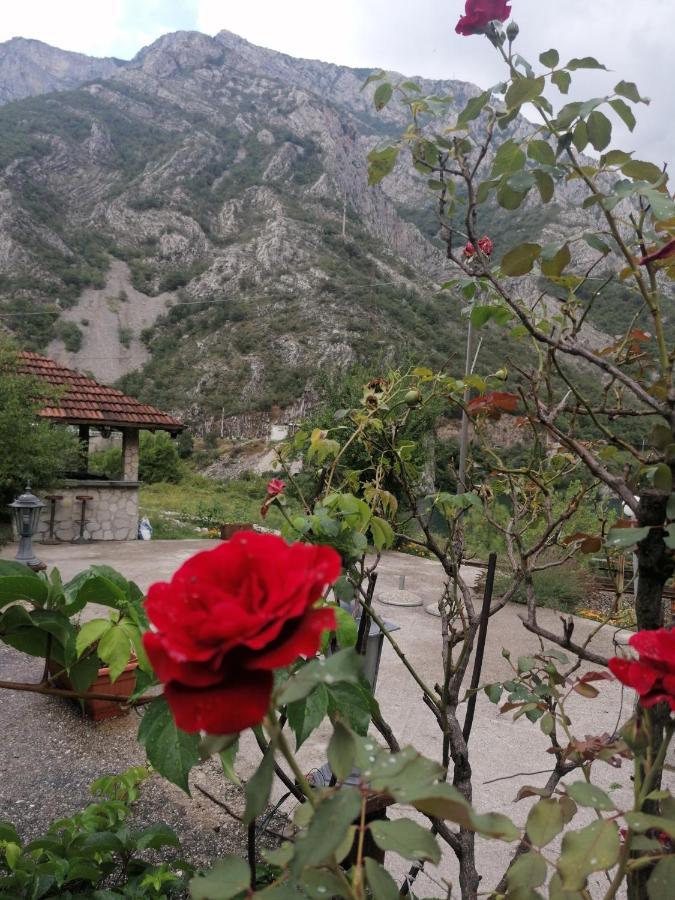 Vila Visit Dreznica Mostar Exteriér fotografie